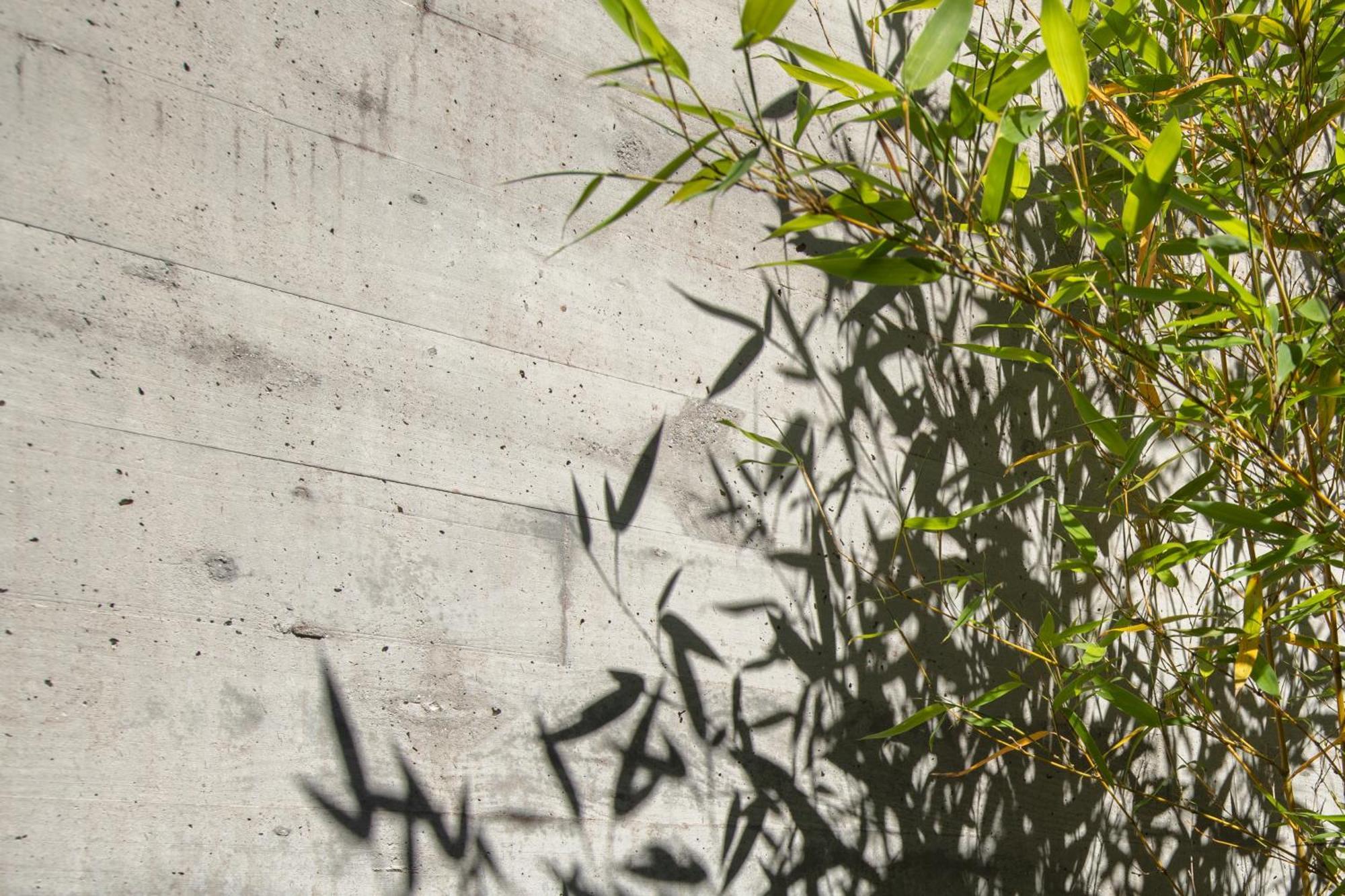 Villa Con Piscina Y Jardin, Santiago De Compostela Teo المظهر الخارجي الصورة